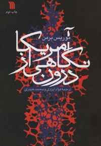 آمریکا، نگاهی از درون